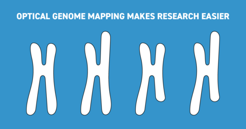 Drawing of four chromosomes and text "Optical genome mapping makes research easier".