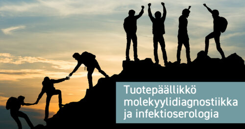 Tuotepäälliikkö